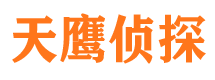 南溪市侦探公司